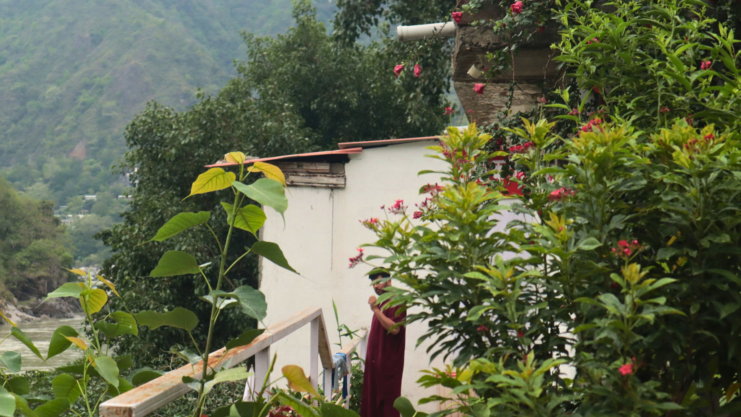 Zorba - Osho Commune